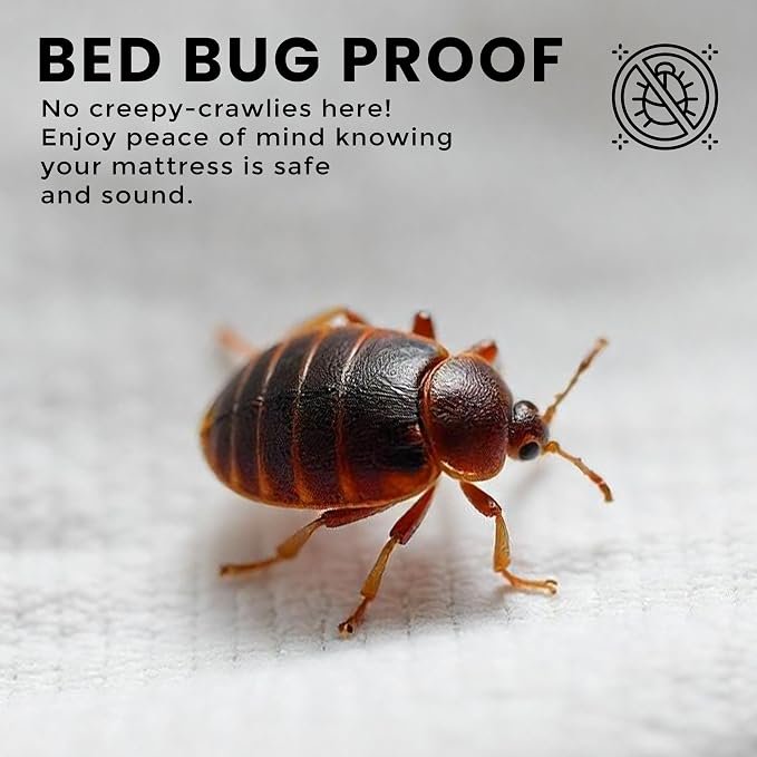 bed bug proof Waterproof Zippered Mattress Protector
